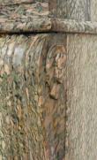 Campan marble