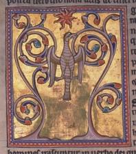 Right-click and open in new tab/window to print this picture from article Phénix Phénix