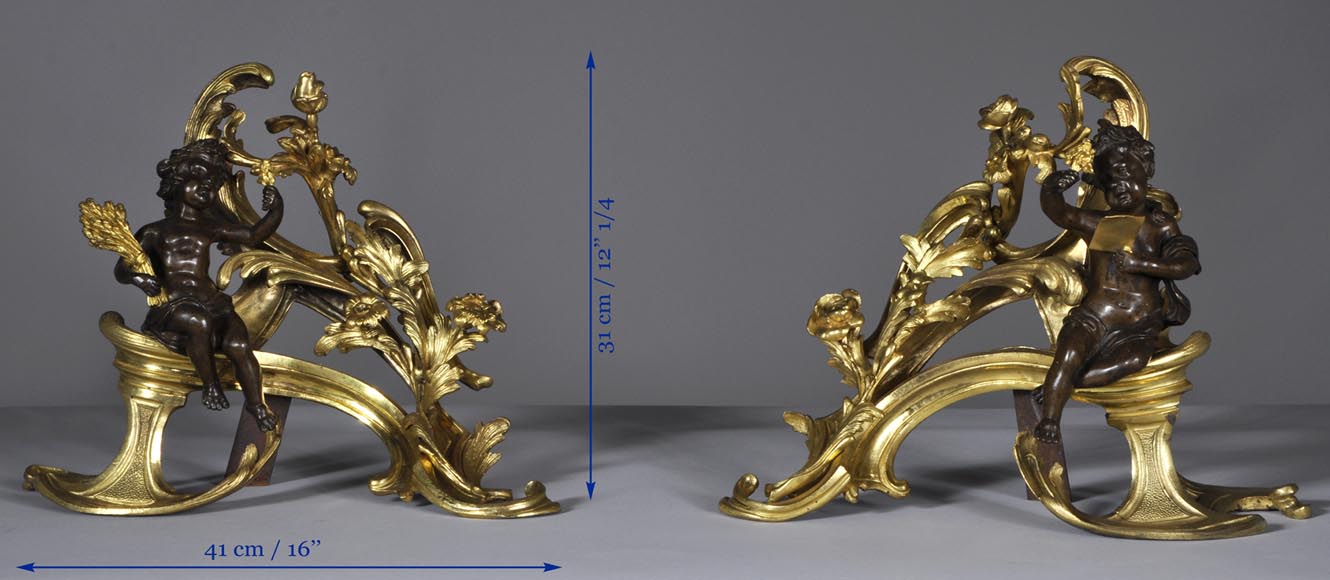 Beautiful pair and antique Louis XV period andirons with Summer Allegories made out of gilded bronze and brown patina bronze-8