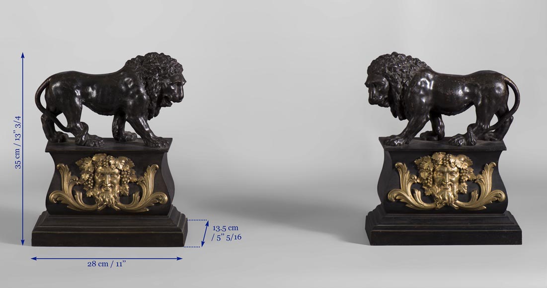 Pair of antique andirons in patinated bronze and gilt bronze with lions and Bacchus' masks, from 19th century.-7