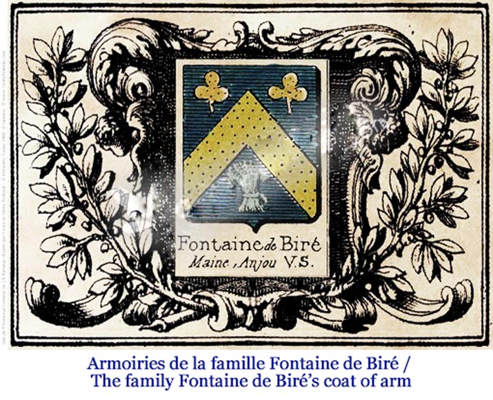 Antique 18th-century fireback with the coat of arms of the Fontaine de Biré family-7