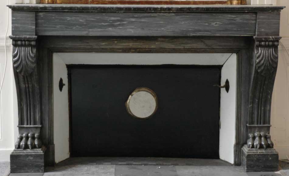 French_Empire_style_blue_turquin_marble_fireplace_mantel.jpg