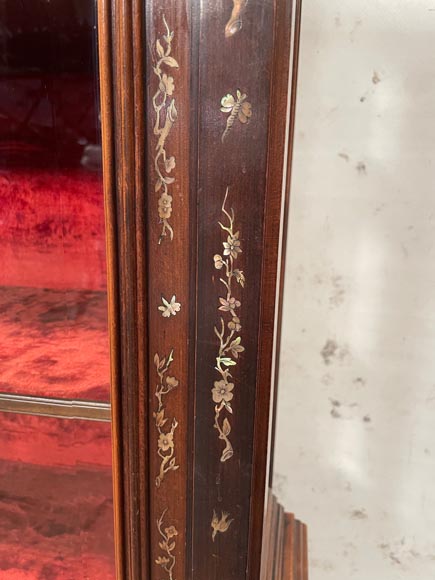 Gabriel VIARDOT, Japanese display case with chimera feet and mother-of-pearl decoration-9