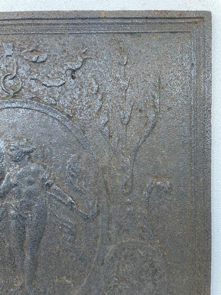Cast iron fireback depicting Venus in a medallion-4