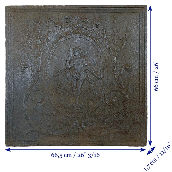 Cast iron fireback depicting Venus in a medallion-8