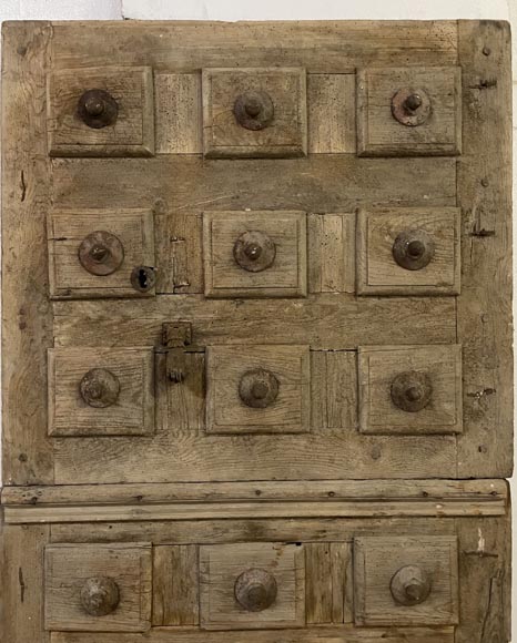 Important antique pine tree door, 18th century-1