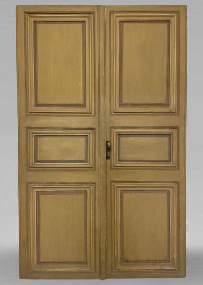 Double paneled door in wood-0