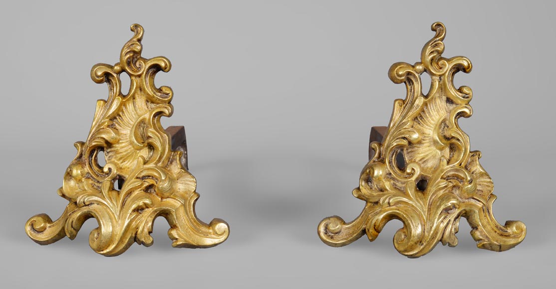 Small pair of Rococo firedogs in bronze polished varnished-0