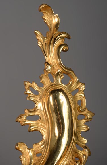 Beautiful Louis XV style gilt bronze fire fender-5