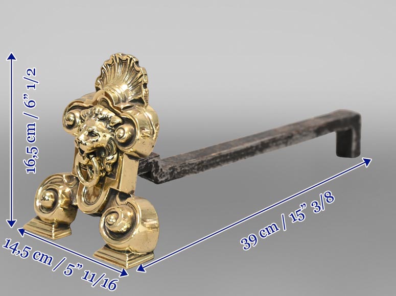 Pair of andirons with lion heads-5