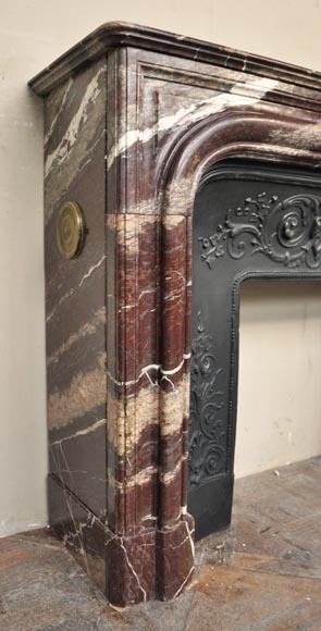 Antique Louis XIV style fireplace in Campan Rubane marble-2