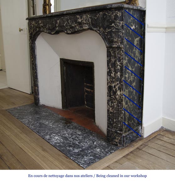 Antique Regency period fireplace in Grey Sainte Anne marble, 18th c.-4