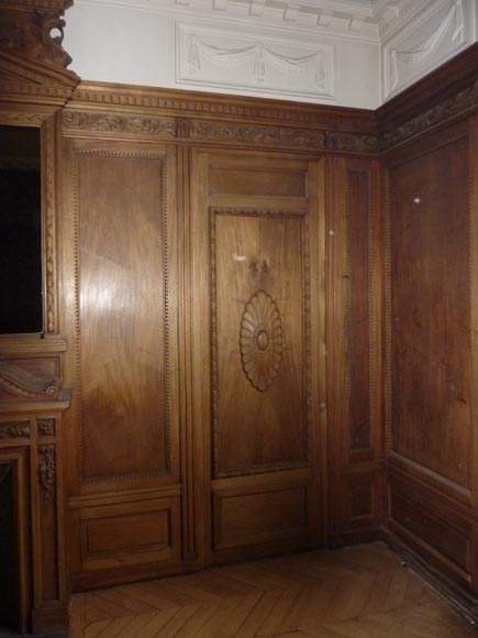 Napoleon III style paneled room with fireplace and mirror, chimeras decor, in carved wood-2