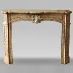 Antique Louis XV style fireplace in Breccia Nuvolata marble with its Carrara marble shell