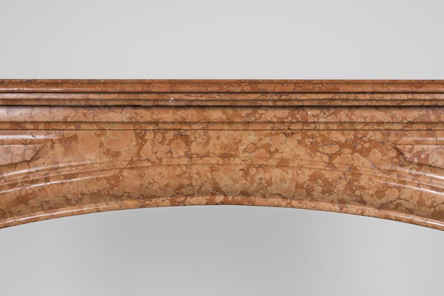 An antique Louis XIV style fireplace made out of Rosso di Verona marble-1