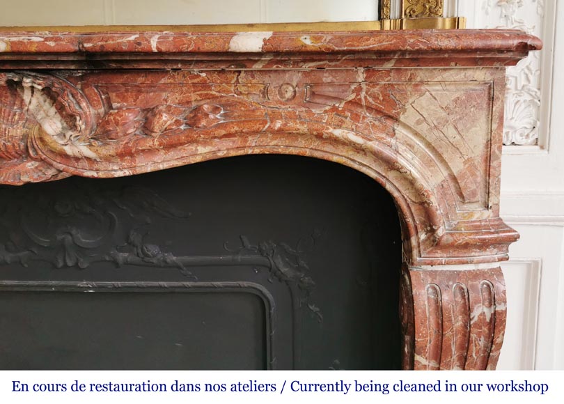 Louis XV style fireplace in Breche de Saint-Maximin marble-8