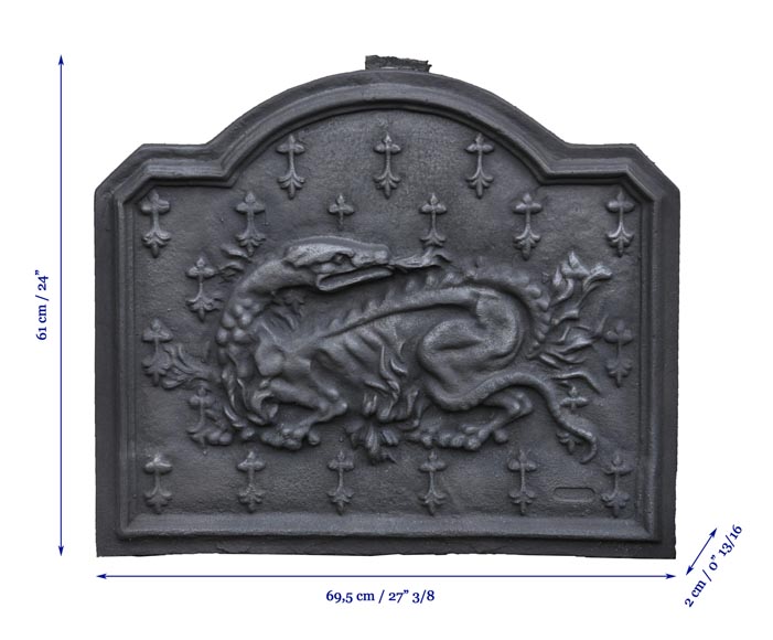 Cast iron fireback with the Salamander of King Francis Ist Cast iron fireback with the Salamander of King Francis Ist-5
