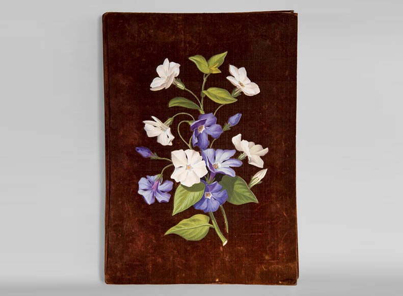 Julien-Nicolas RIVART (1802-1867) - Velvet folder decorated with campanulas in porcelain marquetry Julien-Nicolas RIVART (1802-1867) - Velvet folder decorated with campanulas in porcelain marquetry-0