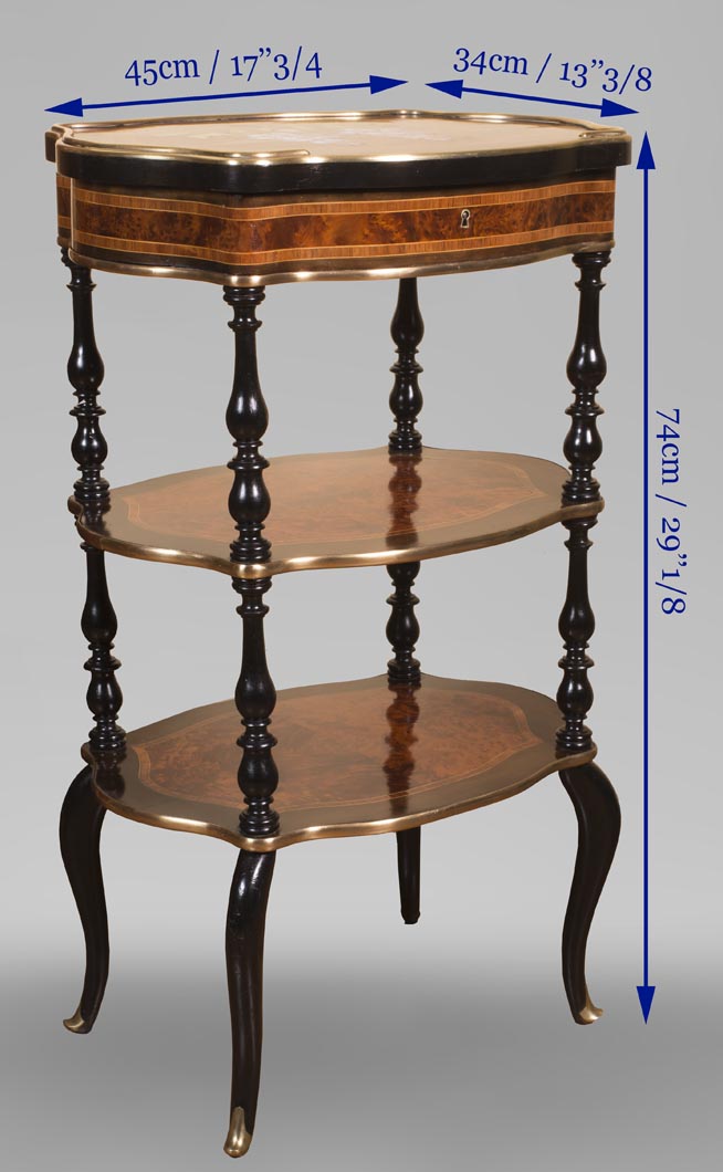 Julien-Nicolas RIVART (1802-1867) - Small bedside table decorated with wisteria in porcelain marquetry Julien-Nicolas RIVART (1802-1867) - Small bedside table decorated with wisteria in porcelain marquetry-4