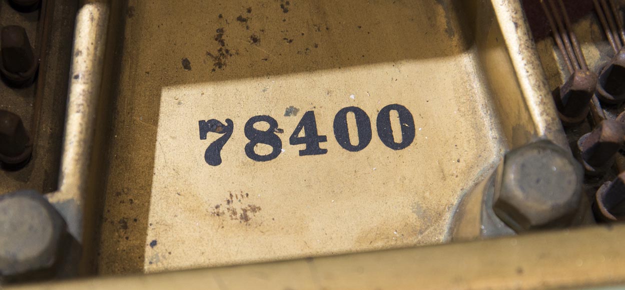 Steinway & Sons – Th. Kammerer (Cuel & cie), A Concert Grand Piano (unique piece) which belonged to Cornelius Vanderbilt II Steinway & Sons – Th. Kammerer (Cuel & cie), A Concert Grand Piano (unique piece) which belonged to Cornelius Vanderbilt II-11