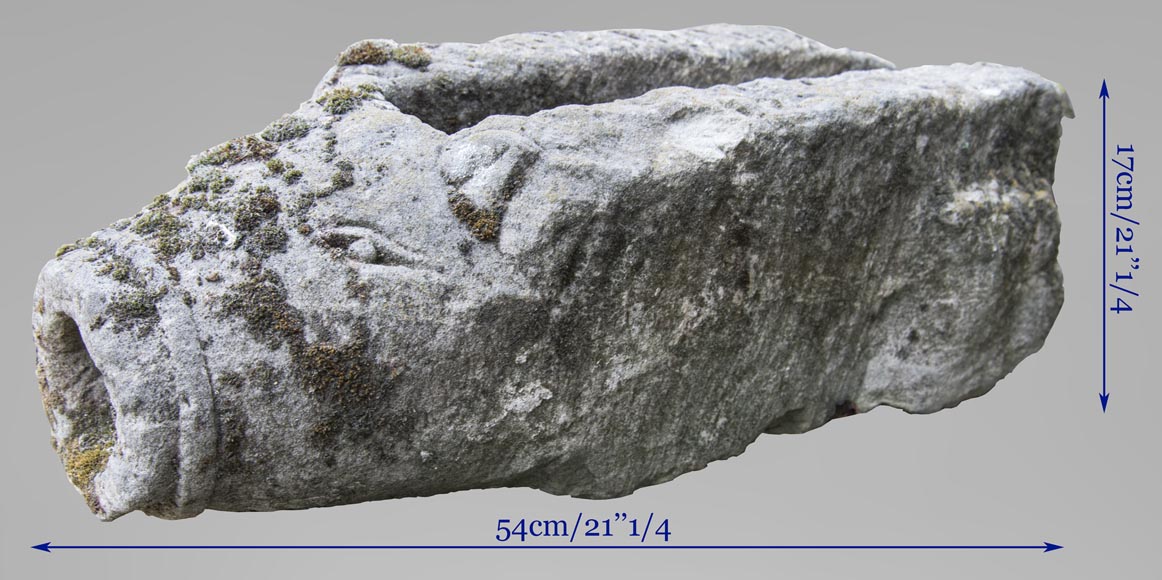 Wild boar's head, old stone gargoyle Wild boar's head, old stone gargoyle-4