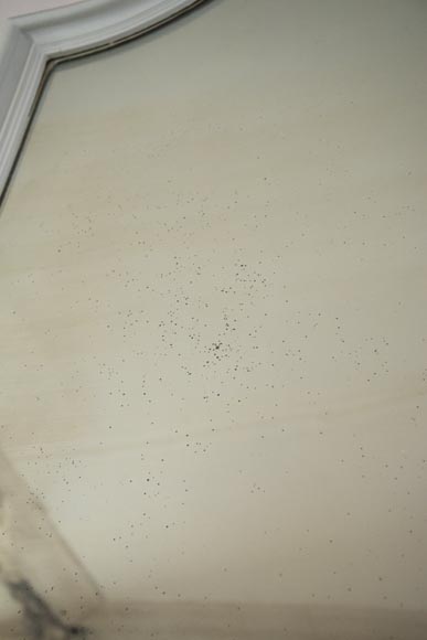 Antique Louis XV style trumeau carved with a beautiful asymmetrical shell Antique Louis XV style trumeau carved with a beautiful asymmetrical shell-4