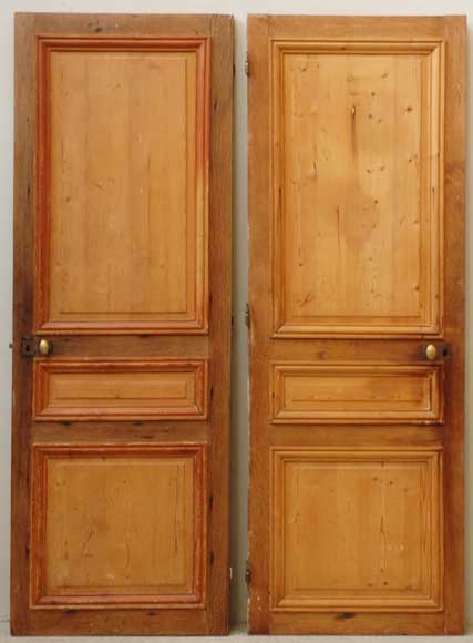 Set of 19th century wooden doors Set of 19th century wooden doors-9