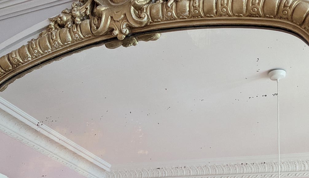 Regence style trumeau with a flowered cartouche  Regence style trumeau with a flowered cartouche -3