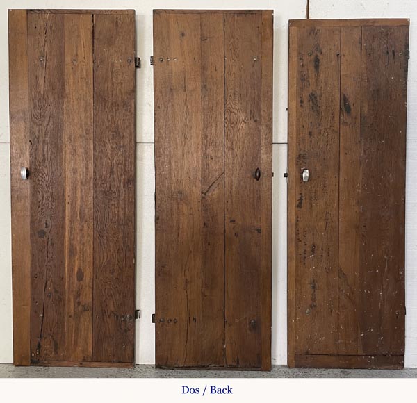 Series of three antique oak doors with their metal hinge Series of three antique oak doors with their metal hinge-12