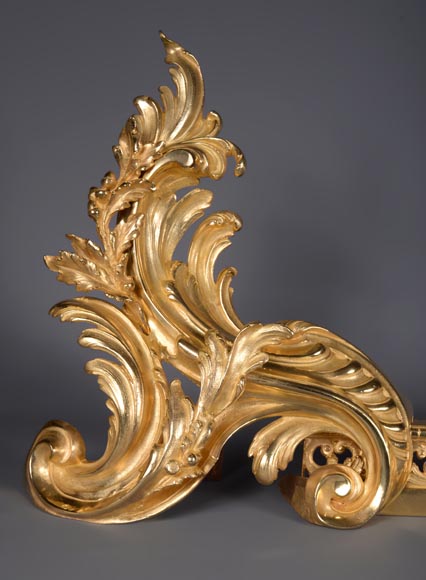 Large Louis XVI style firefender in gilt bronze  Large Louis XVI style firefender in gilt bronze -2