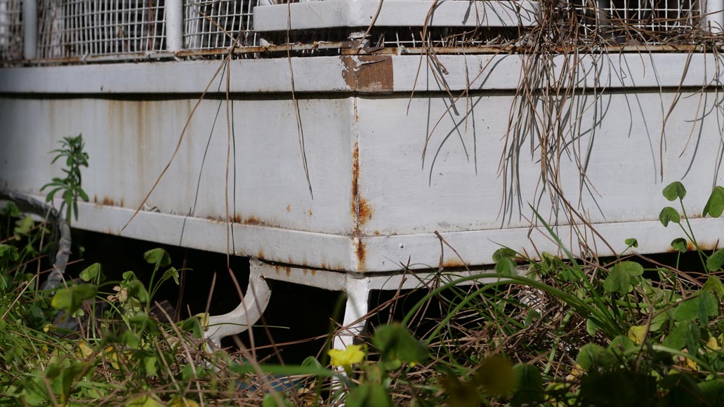 Large iron birdcage Large iron birdcage-8