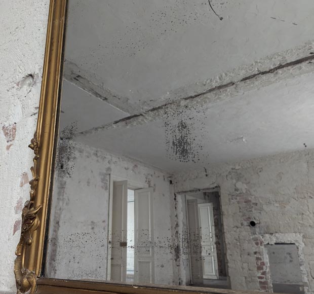 Napoleon style trumeau decorated with a bouquet of flowers, painted Napoleon style trumeau decorated with a bouquet of flowers, painted-6