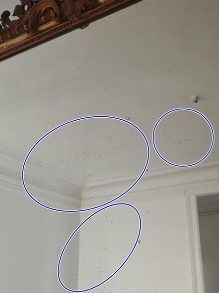 Louis XV-style gilded trumeau Louis XV-style gilded trumeau-6