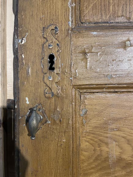 Molded door in resinous wood, painted in oak imitation Molded door in resinous wood, painted in oak imitation-3