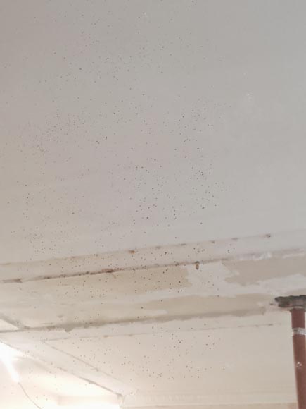 Louis XVI style trumeau decorated with a wreath of flowers Louis XVI style trumeau decorated with a wreath of flowers-7