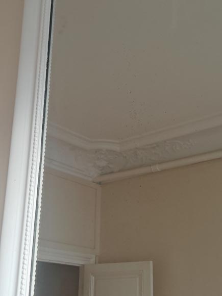 Regence style trumeau surmounted by a palmette Regence style trumeau surmounted by a palmette-5