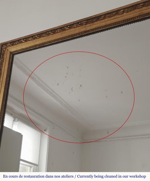 Louis XVI style gilded trumeau with plant decoration Louis XVI style gilded trumeau with plant decoration-5