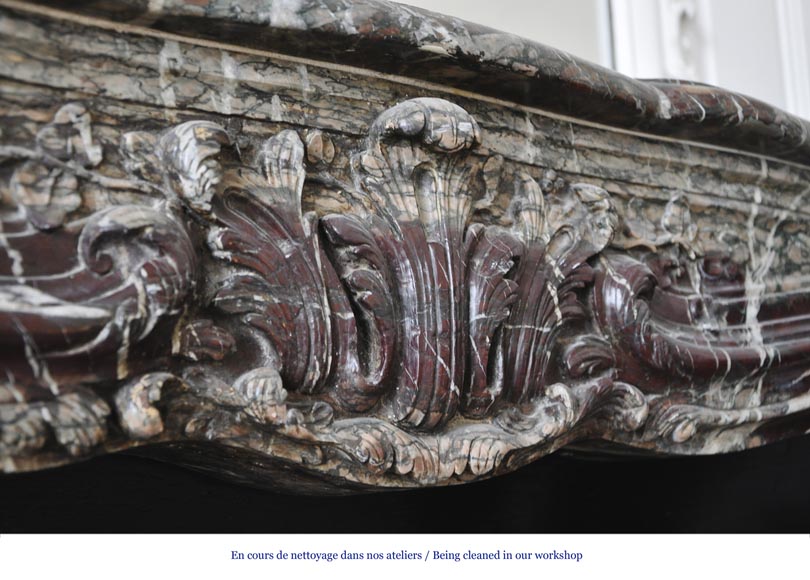 Beautiful antique Regence style fireplace in Campan Grand Melange marble, 19th c. Beautiful antique Regence style fireplace in Campan Grand Melange marble, 19th c.-2