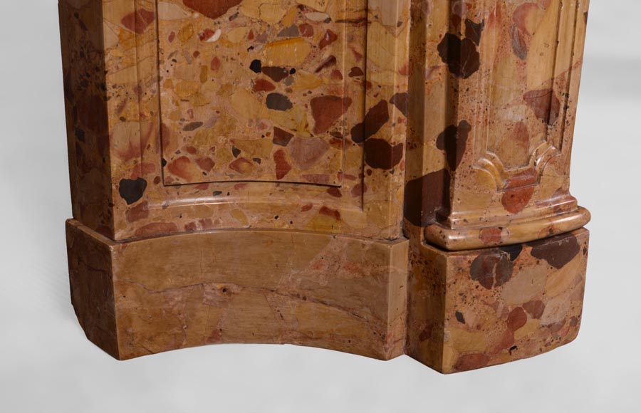 Rare antique Regence period fireplace in Aleppo Breccia marble with its original cast iron insert Rare antique Regence period fireplace in Aleppo Breccia marble with its original cast iron insert-5