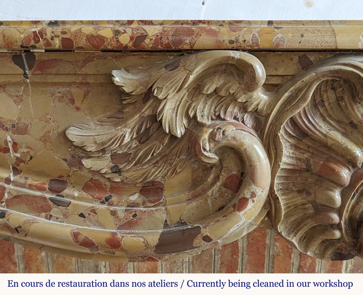 Louis XV period mantel in Alep Breccia with a winged shell Louis XV period mantel in Alep Breccia with a winged shell-2