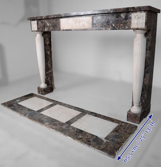 Neo Louis XVI style fireplace in imperator and statuary marble-6