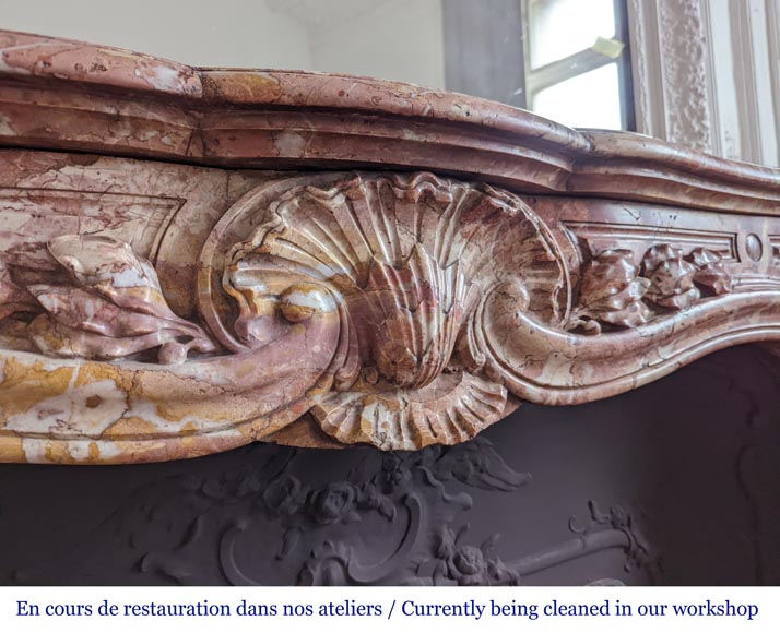 Louis XV style fireplace in Breche de Saint-Maximin marble Louis XV style fireplace in Breche de Saint-Maximin marble-3