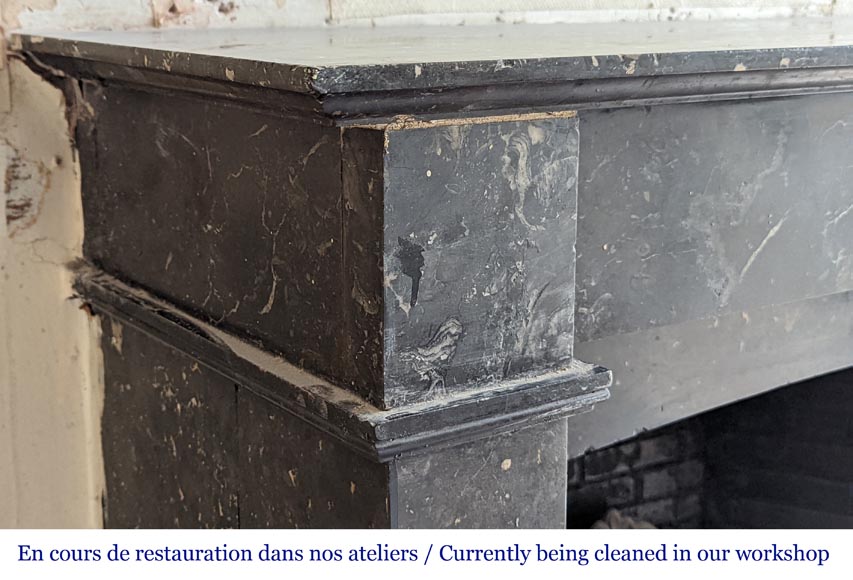 Napoleon III style marble mantel Napoleon III style marble mantel-3