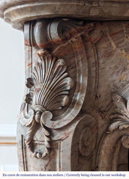 Large Louis XV style curved and finely carved Sarrancolin marble mantel Large Louis XV style curved and finely carved Sarrancolin marble mantel-6