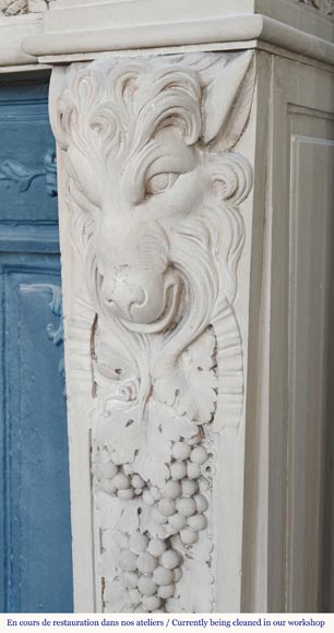 Napoleon III style fireplace in sculpted stone, with plant decoration Napoleon III style fireplace in sculpted stone, with plant decoration-9