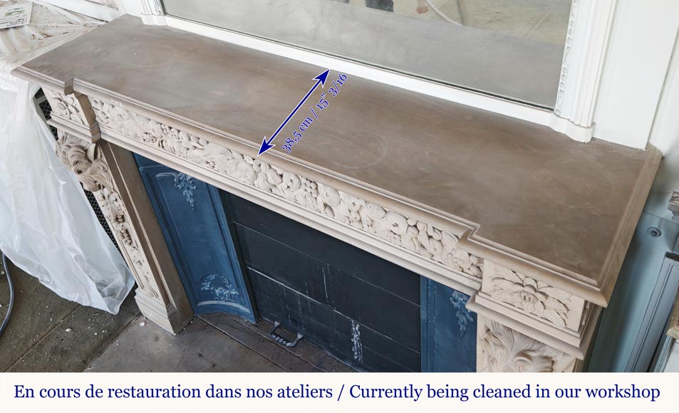 Napoleon III style fireplace in sculpted stone, with plant decoration Napoleon III style fireplace in sculpted stone, with plant decoration-12