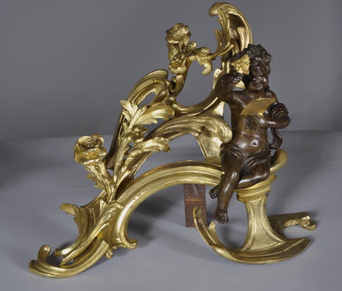 Beautiful pair and antique Louis XV period andirons with Summer Allegories made out of gilded bronze and brown patina bronze-4