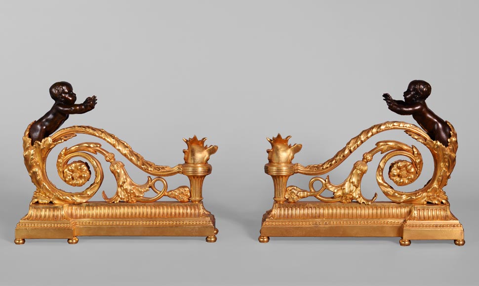 Beautiful pair of Louis XVI style firedogs in gilt and patinated bronze with putti-0