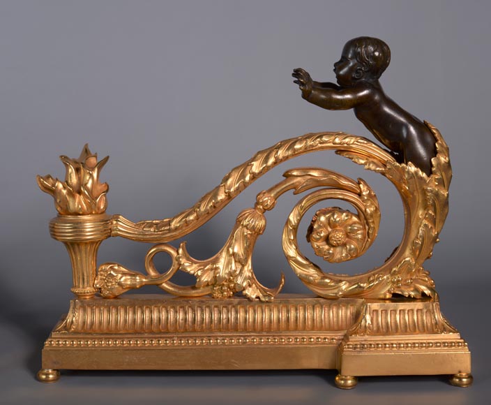 Beautiful pair of Louis XVI style firedogs in gilt and patinated bronze with putti-1