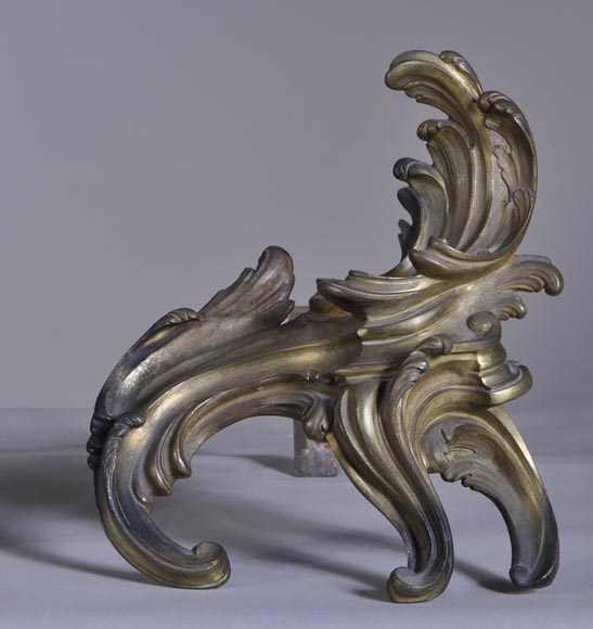 Pair of antique Louis XV andiron made in bronze -1